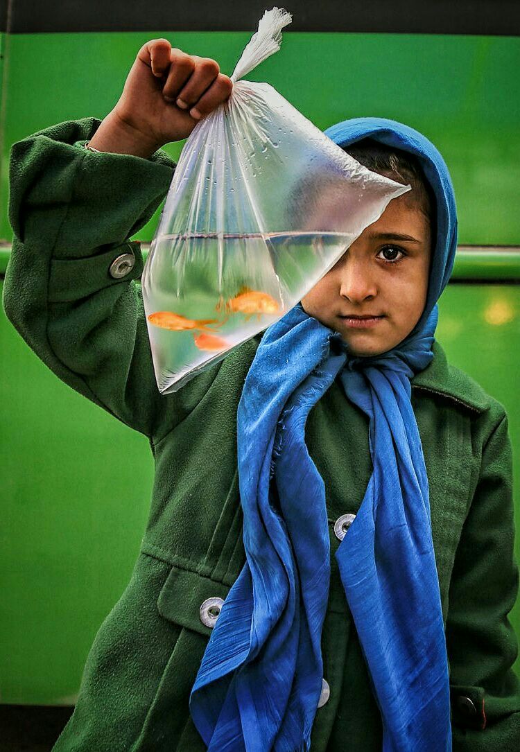 ماهی